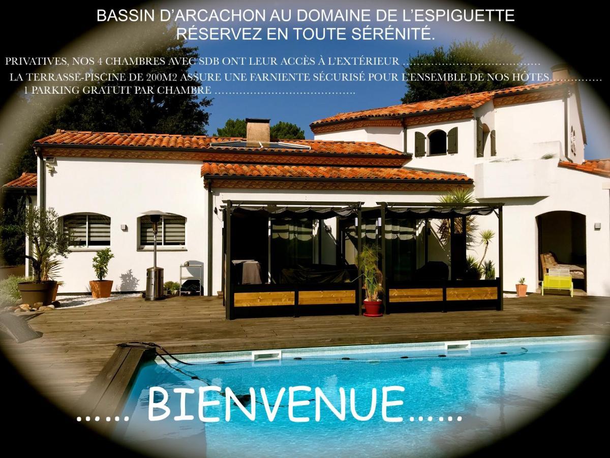 Domaine De L'Espiguette Biganos Exterior photo